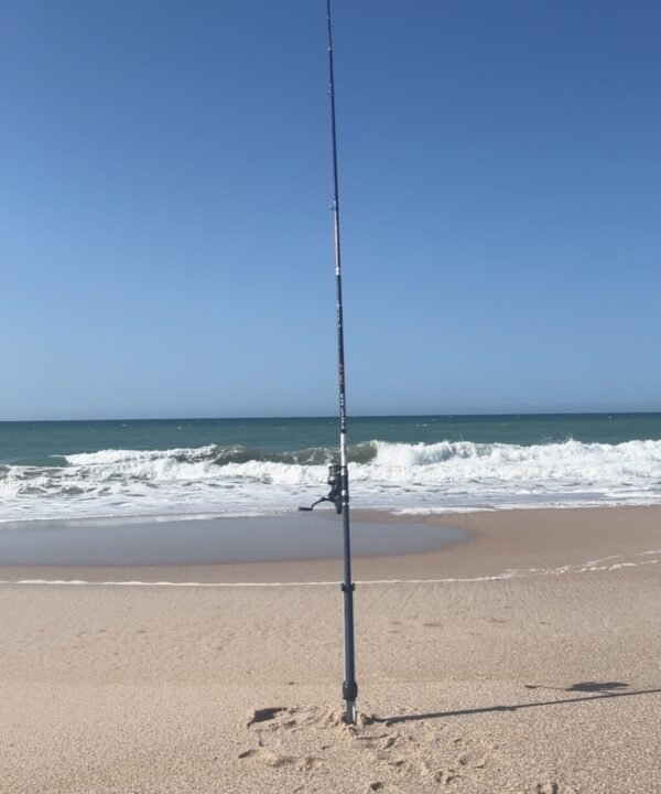 Canne Surfcasting